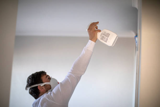 Best Crawl Space Mold Removal  in Burley, ID