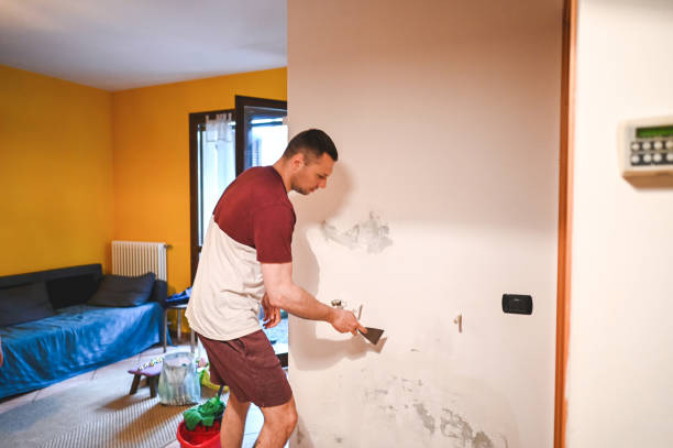 Best Mold Damage Repair  in Burley, ID